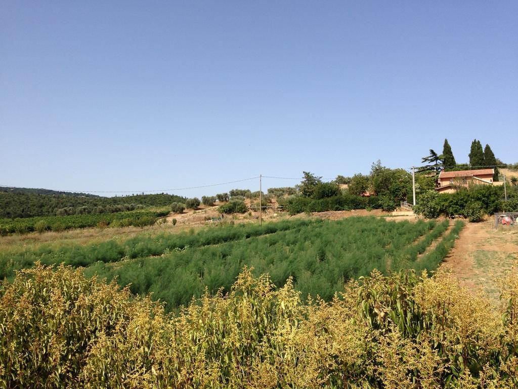 Agriturismo San Mauro Capalbio Exterior photo