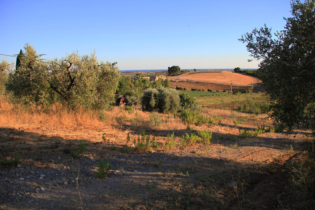 Agriturismo San Mauro Capalbio Exterior photo